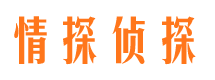 新县侦探公司